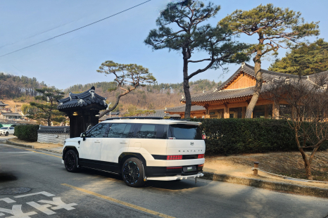 디올뉴싼타페후면에어댐(하이브리드전용)